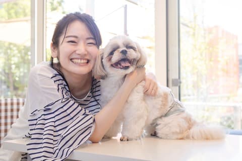 ペットの撮影イメージ